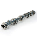 Comp Cams 689-201-13 FSL AFM 212/224 D, 210/222 N Camshaft for GM LS GEN IV