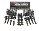 Brian Tooley BTR .660" Platinum Dual Valve Spring Kit - LS 4.8 5.3 5.7 6.0 6.2