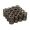 Enginetech ERV943-16 .550" Lift Z28 RV HP Valve Spring Set for Chevrolet Small Block SBC 400 350 327 307 305 283 5.7L Engines