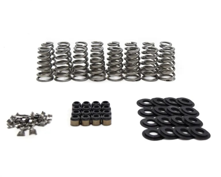 Brian Tooley Racing BTR SK013 Conical Valve Spring Kit for GM Gen V LT Engines - .650" Lift